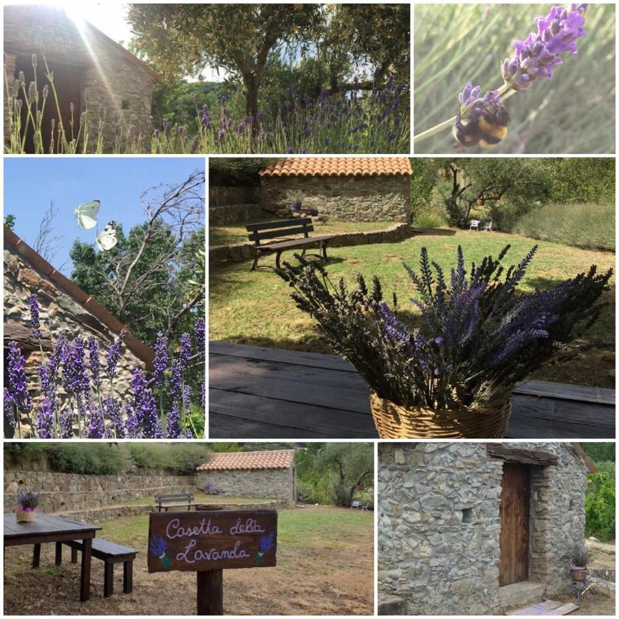 Villa Agri Art San Benedetto Ullano Esterno foto