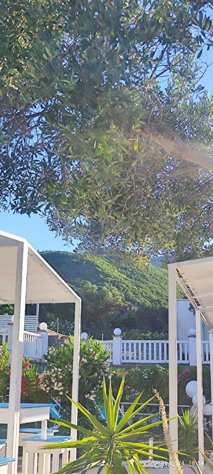 Villa Agri Art San Benedetto Ullano Esterno foto