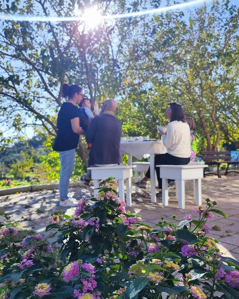 Villa Agri Art San Benedetto Ullano Esterno foto